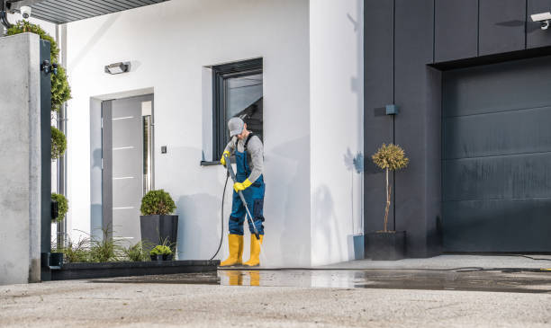 Best Graffiti Removal  in Rolla, MO